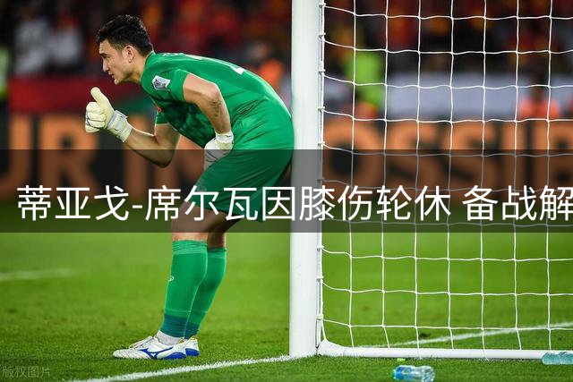 蒂亚戈-席尔瓦因膝伤轮休 备战解放者杯关键战